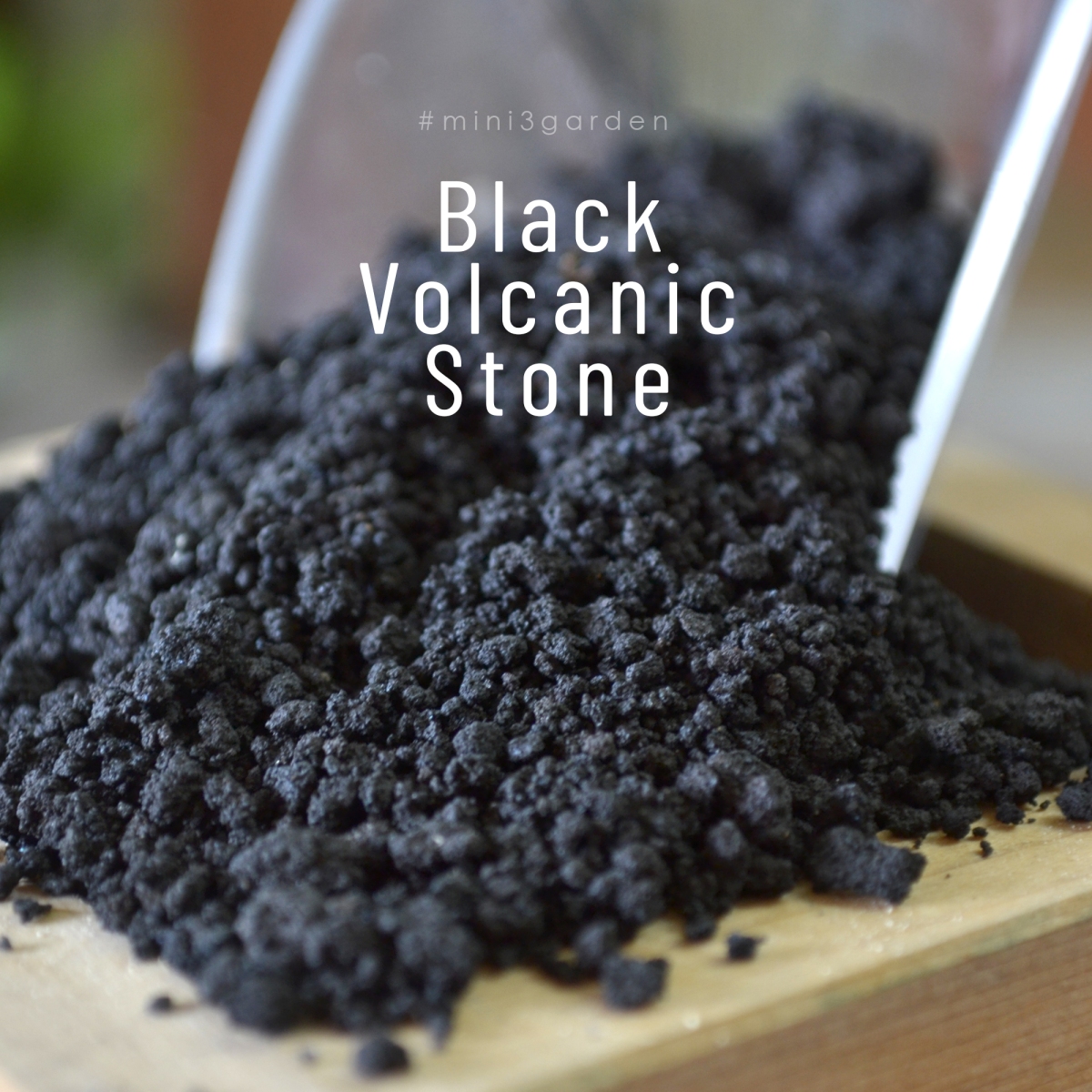 หินภูเขาไฟสีดำ หินลาวาดำ หินทรายสีดำ วัสดุปลูกพรีเมียม ( Black volcanic stone ) ใช้โรยหน้ากระถาง ผสมดินปลูก